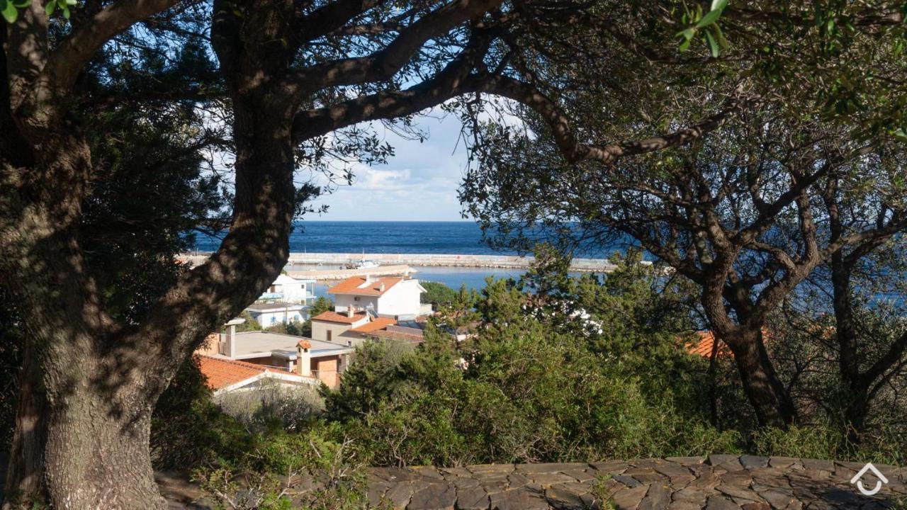 Villa Al Mare - Cala Gonone ドルガーリ エクステリア 写真